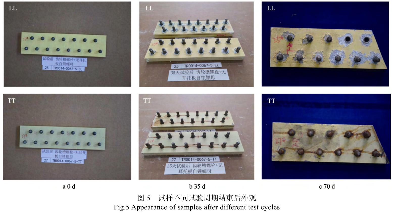 硬膜緩蝕劑對鈦合金螺絲電偶腐蝕的防護作用研究