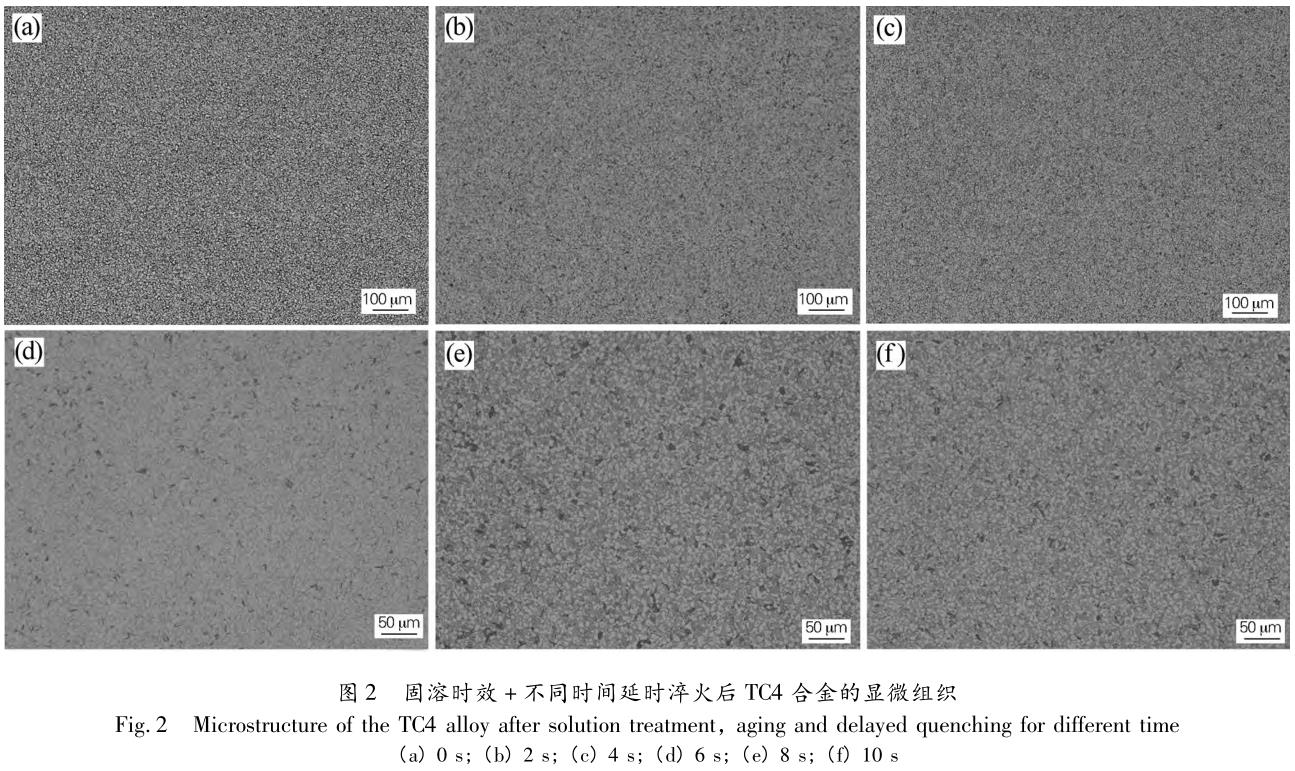 1712996743864127.jpg 360截圖162511134856101.jpg