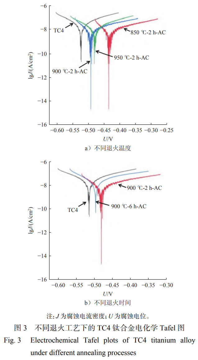 未標題-1.jpg